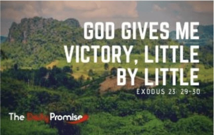 Featured image for “Why is story so important?”